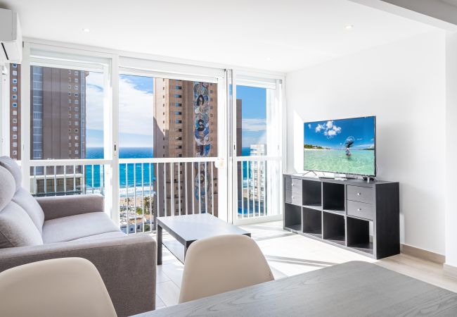 Estudio en Benidorm -  Albatros 14-10 Estudio Levante Beach