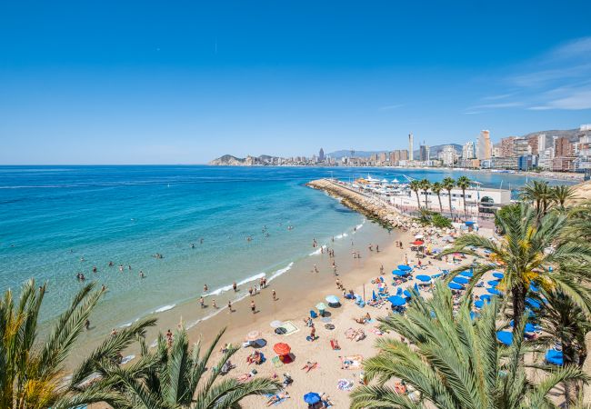Apartamento en Benidorm - San Vicente 31 Old Town