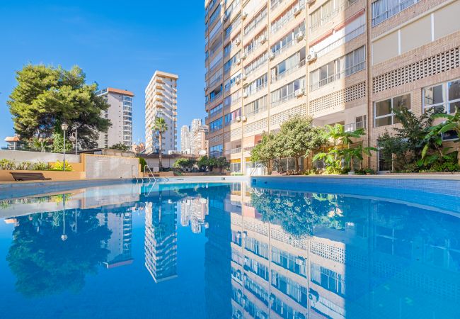 Apartamento en Benidorm - Karola Apartment 12-C Levante Beach