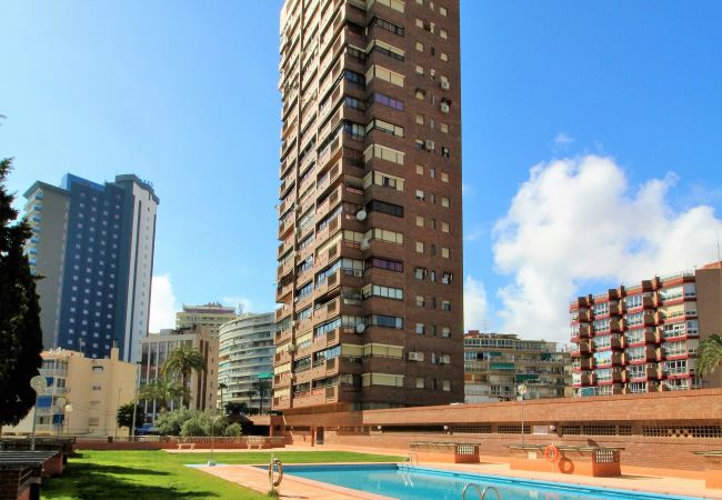 Appartement in Benidorm - Los Pinos 9B Apartment Levante Beach-Old Town