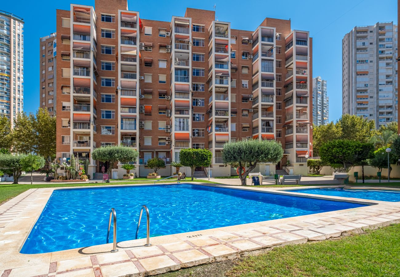 Appartement in Benidorm - Etxezuri I 6-D Apartment Levante Beach