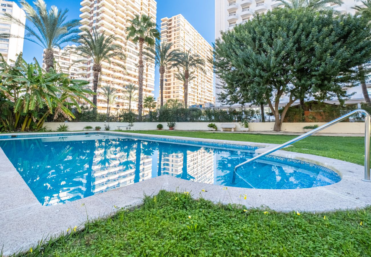 Appartement in Benidorm -  Waldorff 4-A Levante Beach Apartment