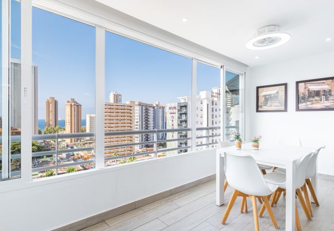 Appartement in Benidorm - Torre Domo 9-D Levante Beach