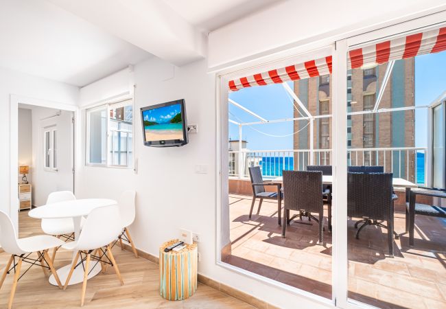  in Benidorm -  Penthouse El Pato 872 Levante Beach