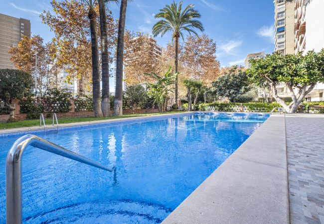 Apartment in Benidorm -  Edimar 2-3 Apartment Levante Beach
