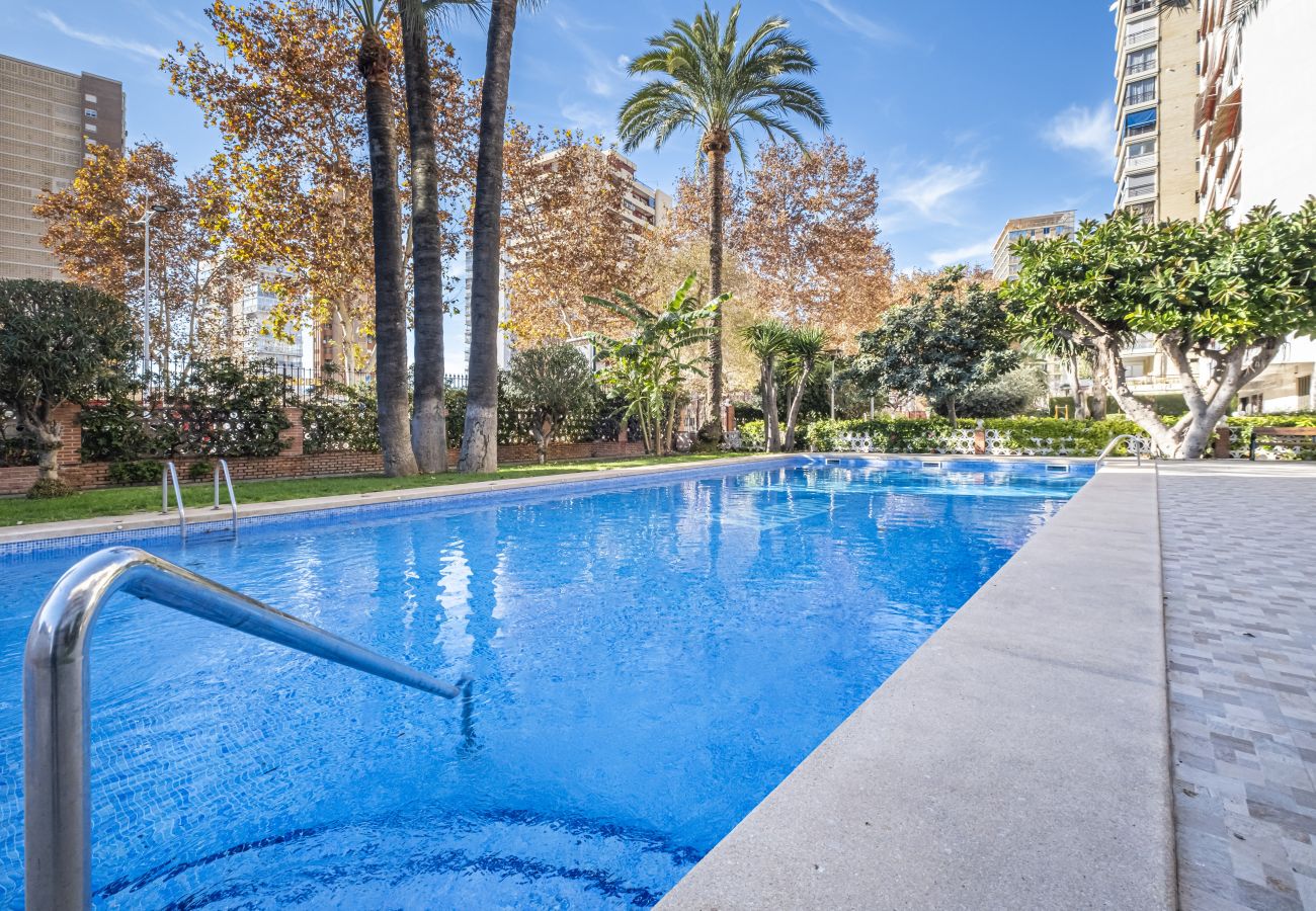 Apartment in Benidorm -  Edimar 2-3 Apartment Levante Beach