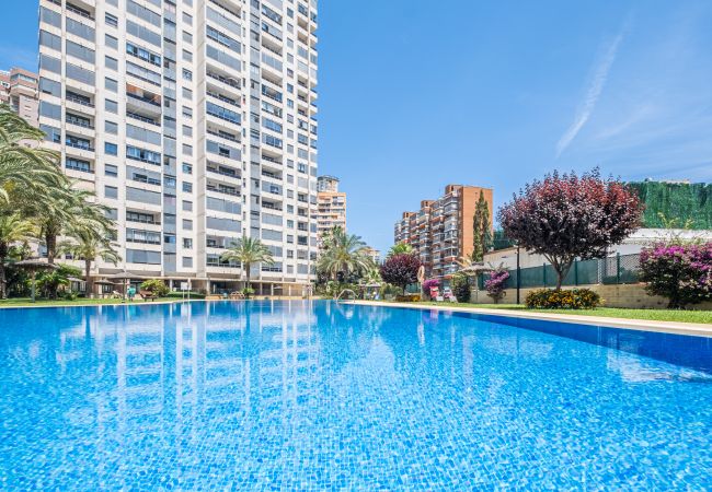 Apartment in Benidorm -  Gemelos 26 23-E Resort Apartment Levante Beach