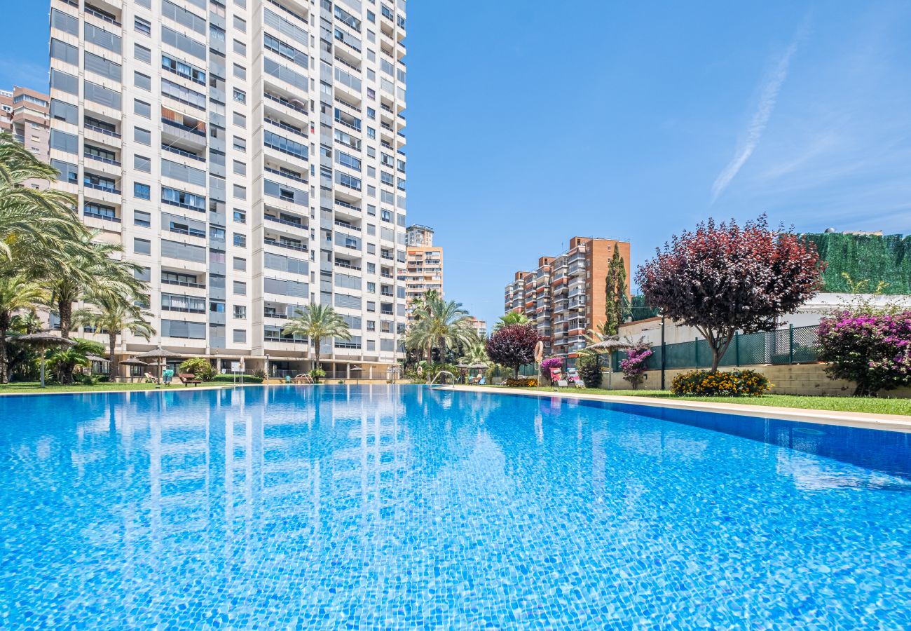 Apartment in Benidorm -  Gemelos 26 23-E Resort Apartment Levante Beach