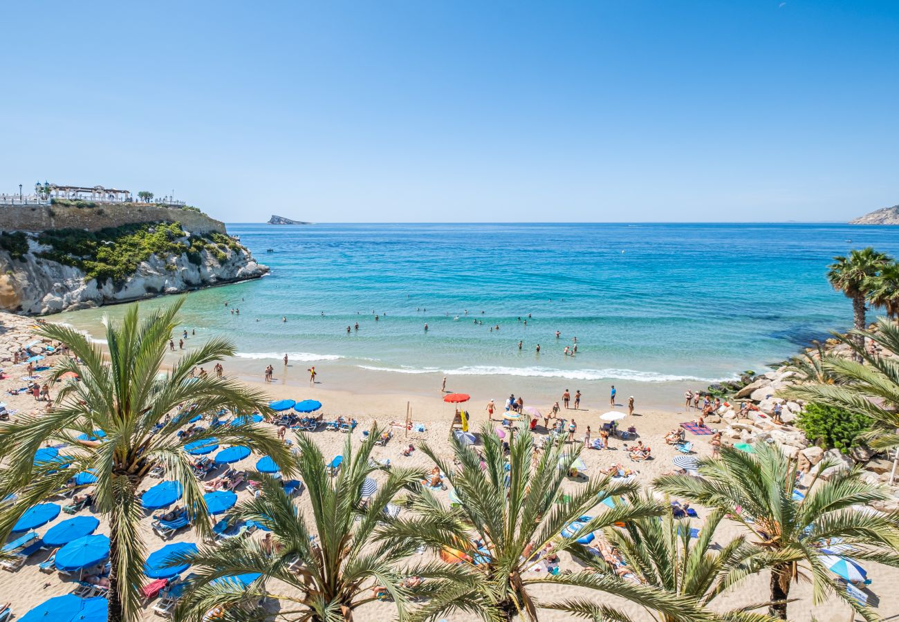 Aparthotel in Benidorm - Apartamentos La Rosita Old Town 