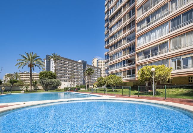 Appartement à Benidorm -  Lidersol 11-D Apartment Levante Area