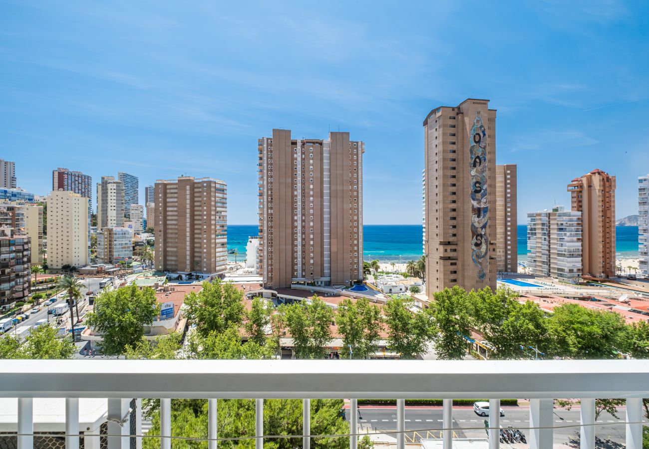 Studio à Benidorm - Albatros 12-8 Sea Views Levante Beach