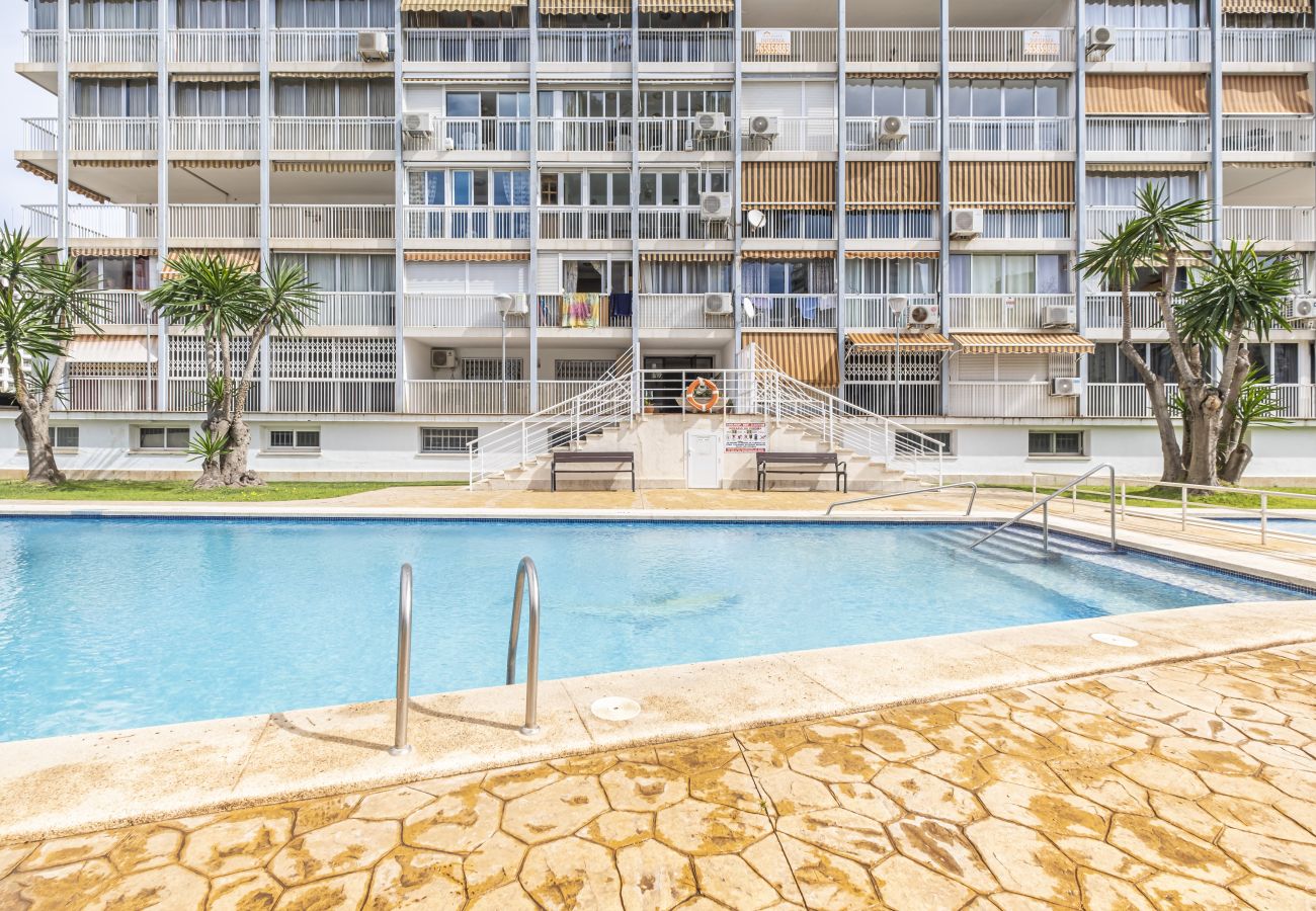 Квартира-студия на Бенидорм / Benidorm - Albatros 13-8 Estudio Levante Beach