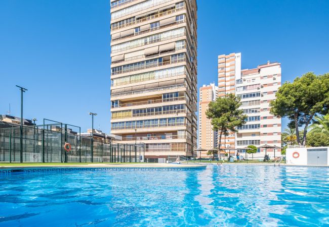 Апартаменты на Benidorm - Benipark 3-2-A Poniente Beach